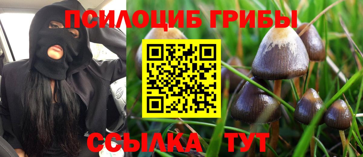 Галлюциногенные грибы ЛСД  Вход с VPN  Зеленодольск 